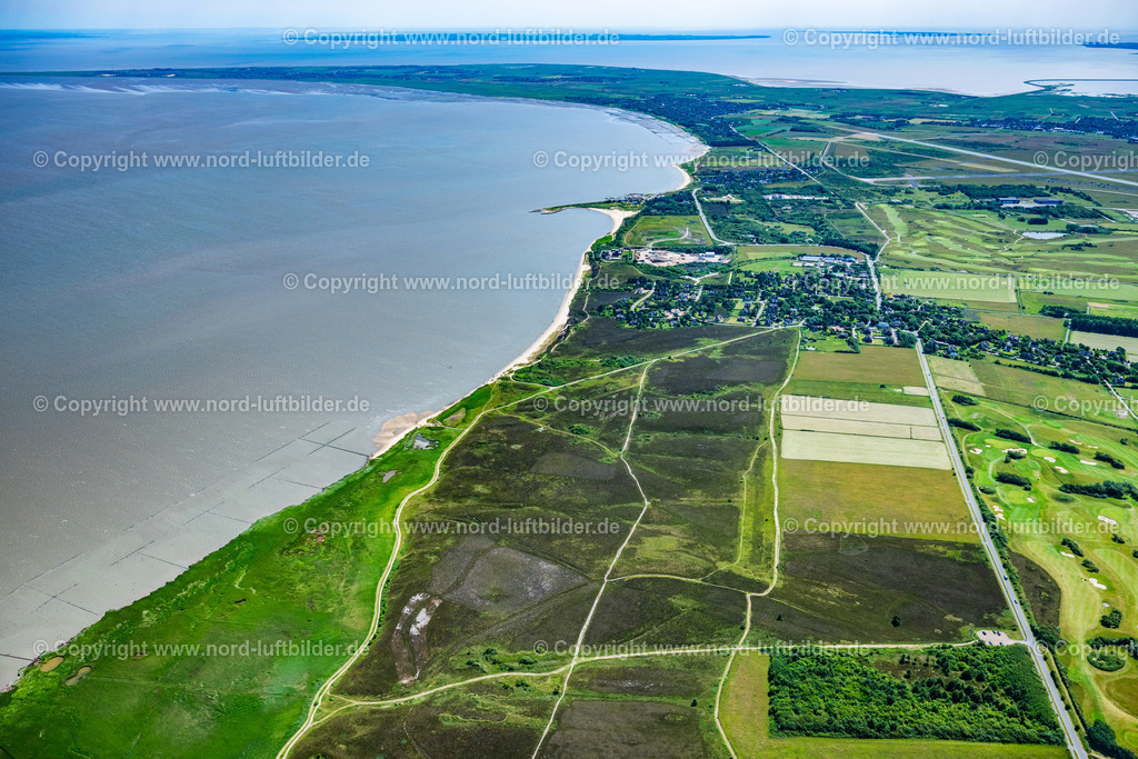 Sylt_Braderup_Braderupper_Heide_ELS_7045130625 | WENNINGSTEDT-BRADERUP (SYLT) 21.06.2025 Küstenbereich der Nordsee - Insel in Wenningstedt-Braderup (Sylt) Braderupper Heide Landschaft im Bundesland Schleswig-Holstein. // Coastal area of a??a??the North Sea - island in Wenningstedt-Braderup (Sylt) Braderupper Heide landscape in the state of Schleswig-Holstein. Foto: Martin Elsen