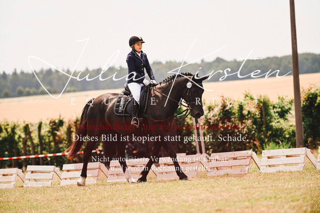 DSC_6308 | Pferde- und Turnierfotografie in Westsachsen. Pferdeportraits, Auftragszeichnungen und intuitive Kunst.