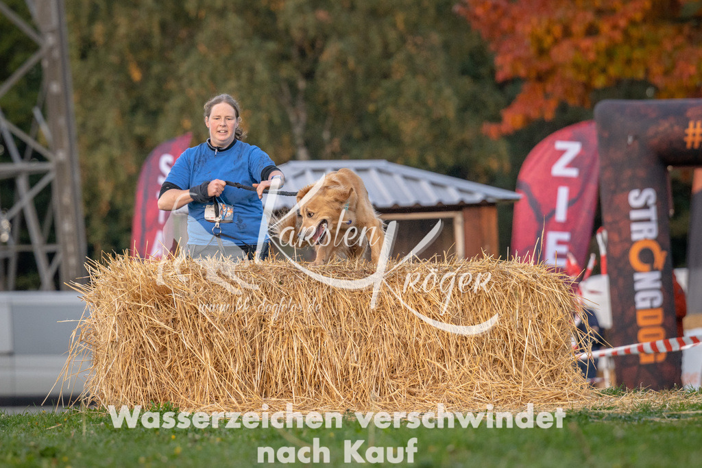 0905_ZZ92491 | kk-dogfotos