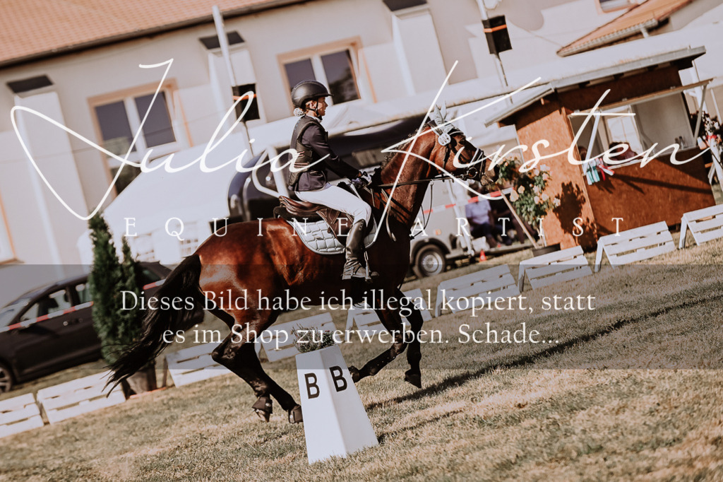 DSC_9401 | Pferde- und Turnierfotografie in Westsachsen. Pferdeportraits, Auftragszeichnungen und intuitive Kunst.