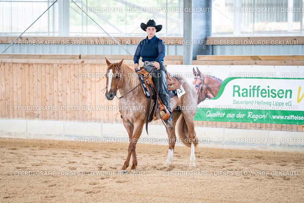 DSC02016 | Pferdegrafie