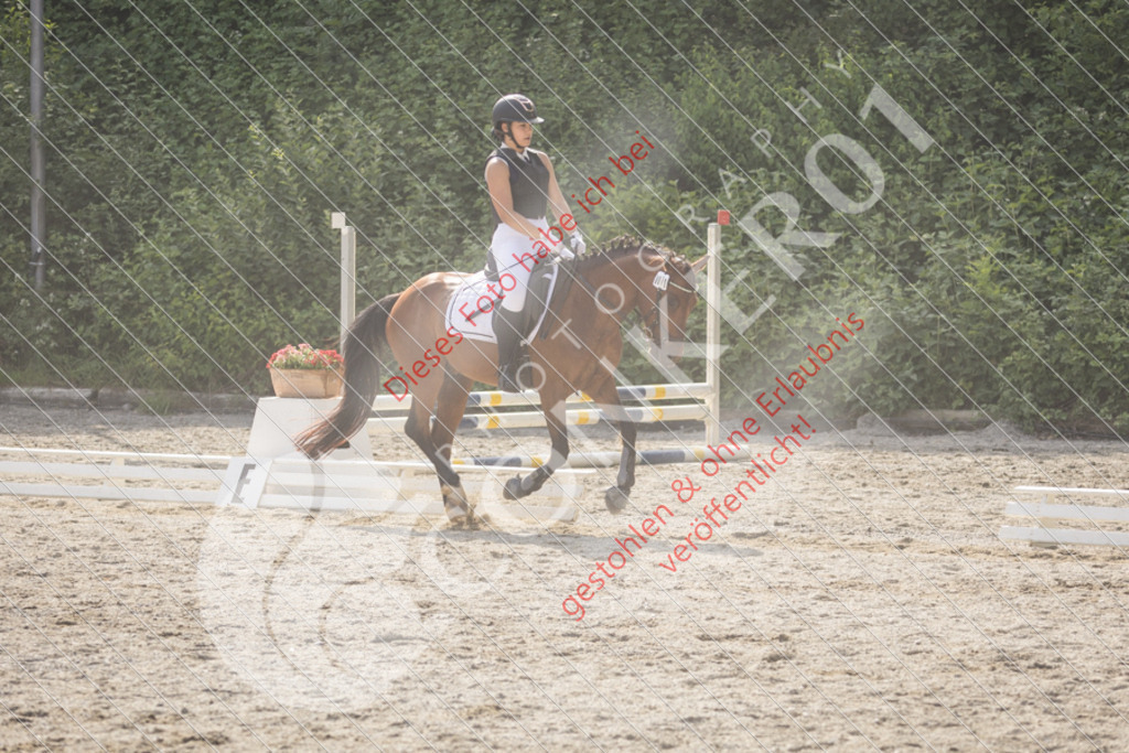IMG_5817 | Sport-, Event- und Tierfotos in Profiqualität. Einfach auswählen, bestellen und herunterladen. Dein Moment – perfekt festgehalten.