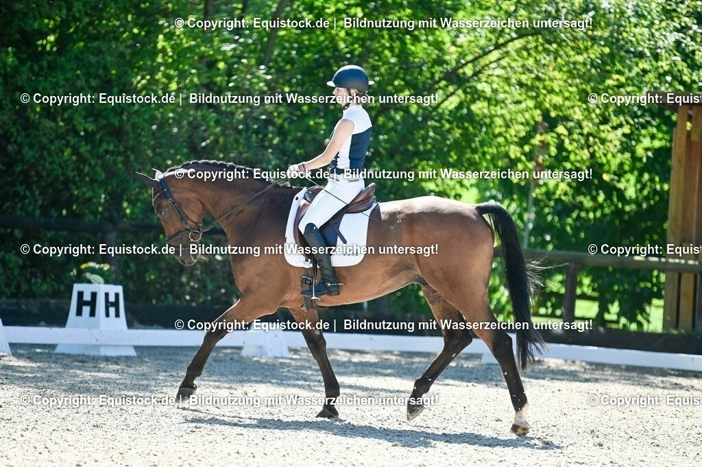 20230908_06_Dressur-L-Trense_0345 | equistock