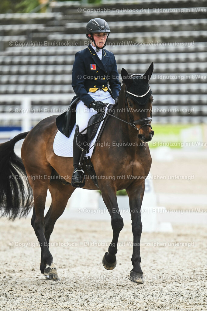 20230512_CCI4_Dressur_0055 | equistock