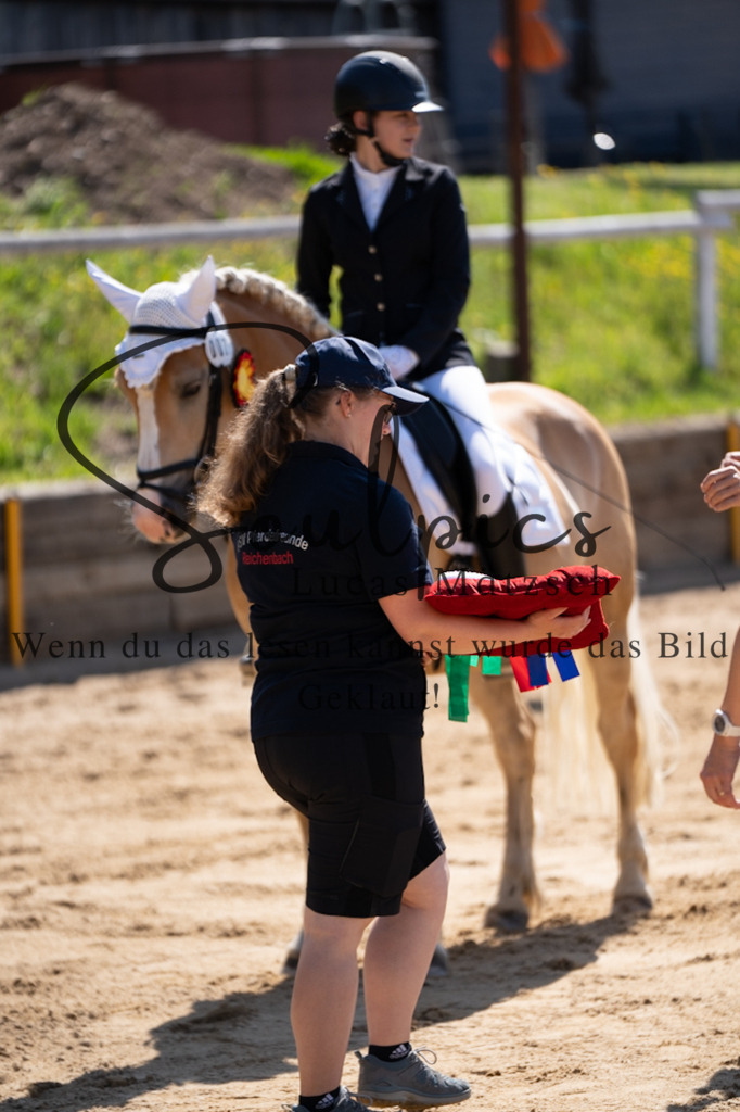 A7V07900 | Turnier/Reitfotograf