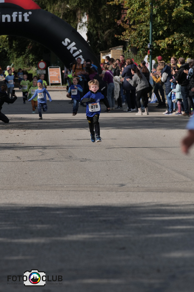 D (387) | Foto Buchgraber