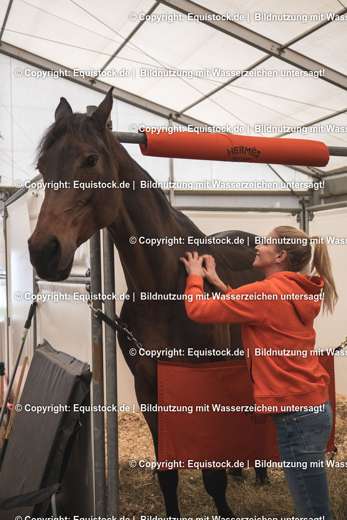 20251114_Jessica-von-Bredow-Werndl_TOMSPIC_0006 | Foto: Thomas Hartig