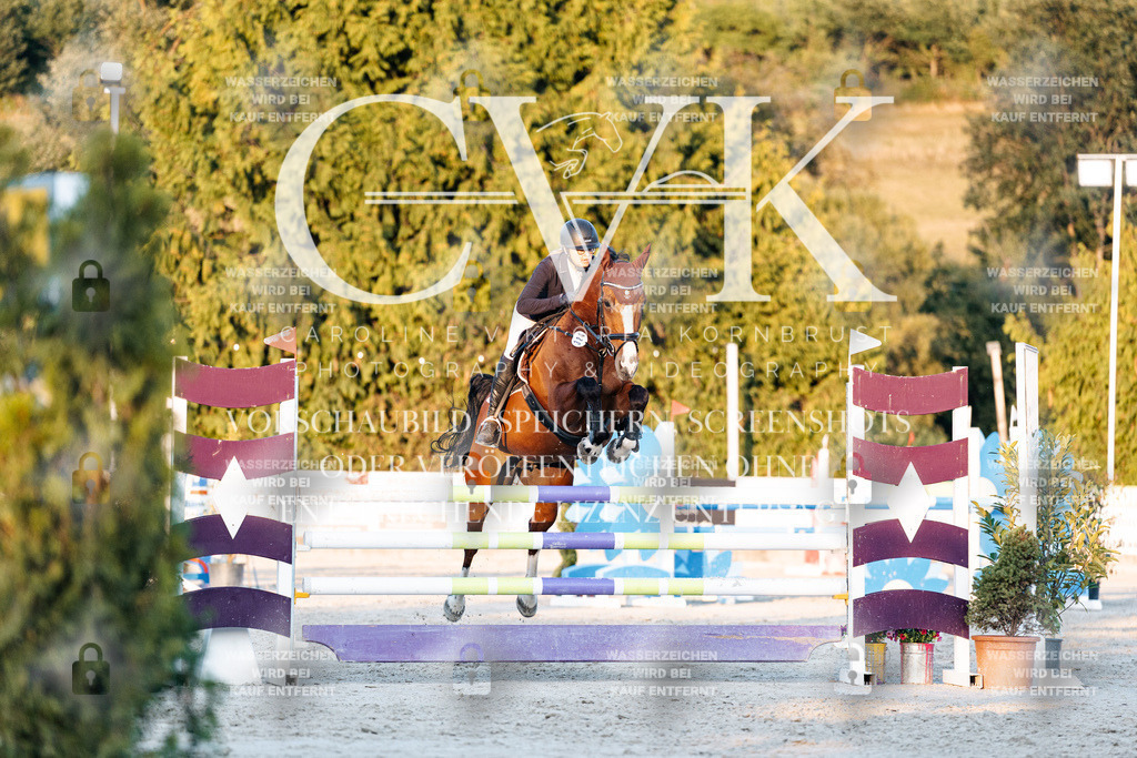 CK901203 | Turnierfotografie Pferdefotografie Trier Rheinland-Pfalz Pferdesport Reitsport Tierfotografie Sportfotografie Pferdevideo Pferdevideografie Equestrianvideography equestrianphotography  - Realisiert mit Pictrs.com