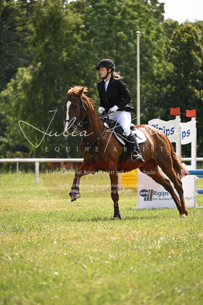 DSC_9042 | Pferde- und Turnierfotografie in Westsachsen. Pferdeportraits, Auftragszeichnungen und intuitive Kunst.