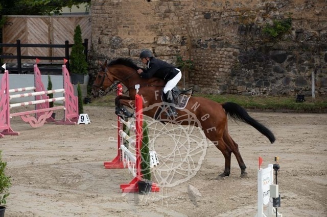 2B4A2050 | pixelfaenger - Realisiert mit Pictrs.com