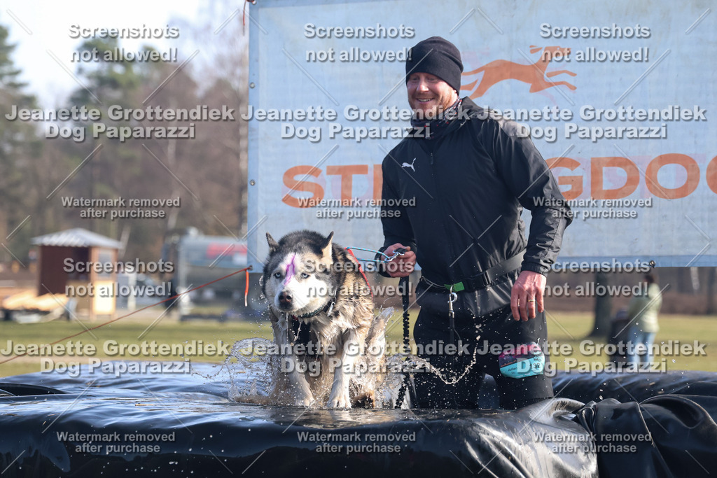 Dog Paparazzi - Strongdog North Mrz26-1079 | Dog Paparazzi Jeanette Grottendiek Fotografie & Videografie - Realisiert mit Pictrs.com