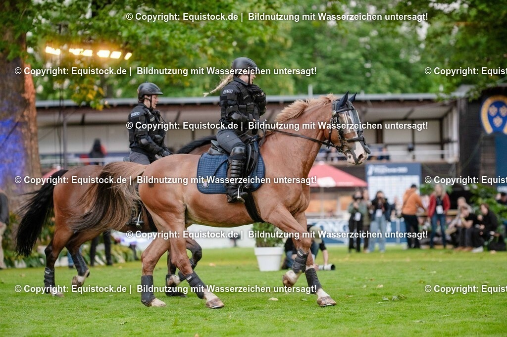 20250606_Lange-Pferdenacht_0738 | Foto: Thomas Hartig