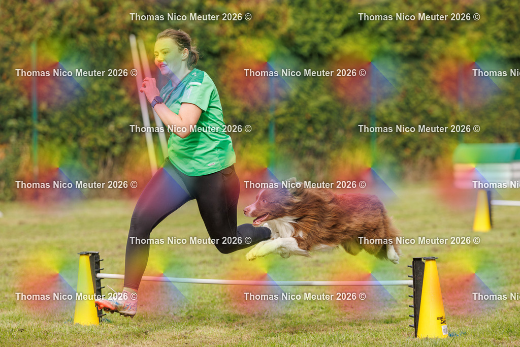 Thomas_Nico_Meuter(C)_27. September 2026_223A7533 | Bild von Thomas Nico Meuter - Realisiert mit Pictrs.com