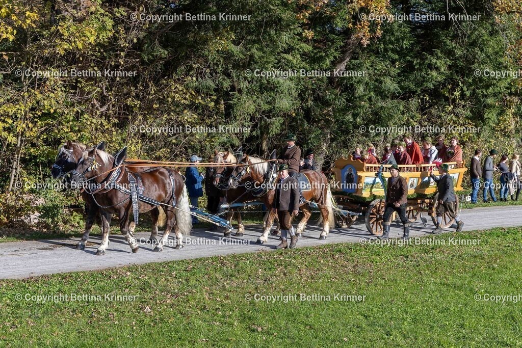 LBT24-618 | foto-bettina-krinner - Realisiert mit Pictrs.com