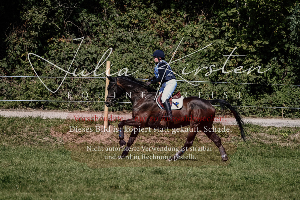 DSC_1610 | Pferde- und Turnierfotografie in Westsachsen. Pferdeportraits, Auftragszeichnungen und intuitive Kunst.