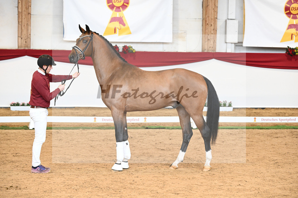 Kat-Nr. 58 Vitalis x Quaterback_Molcan_43230871 | hf-fotografie - Realisiert mit Pictrs.com