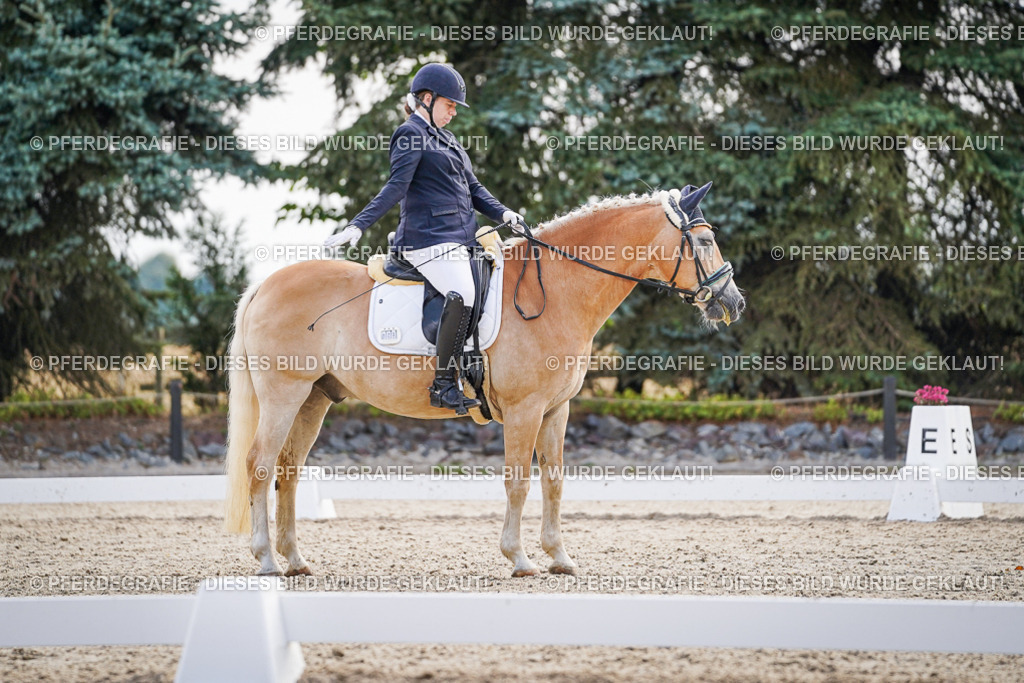 DSC00638 | Pferdegrafie