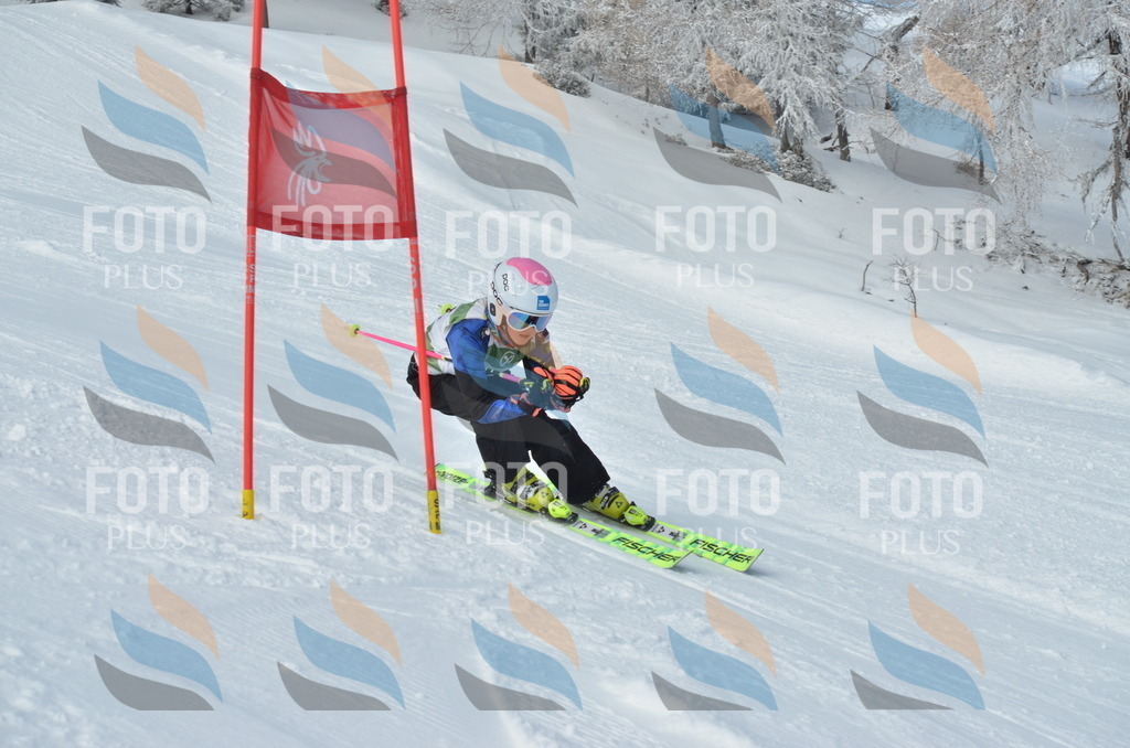 D8653 | holidayphoto