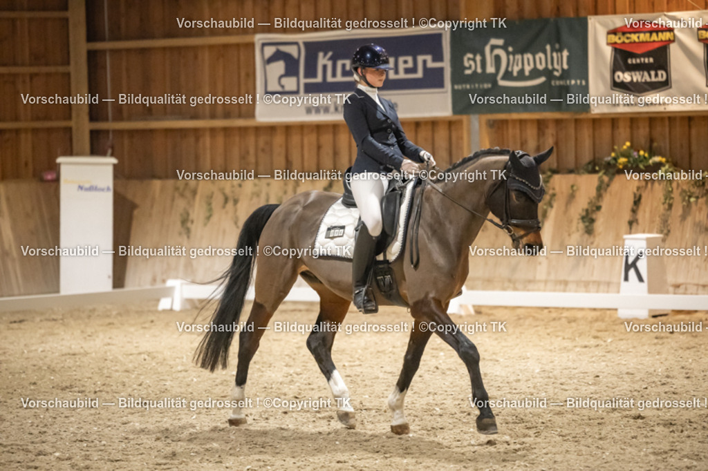 _D5A0981 | Emotionale Pferde- & People-Fotografie rund um Heidelberg, Leimen & Umgebung. Natürliche Fotos von Pferd, Mensch & Familie. Jetzt Termin sichern!