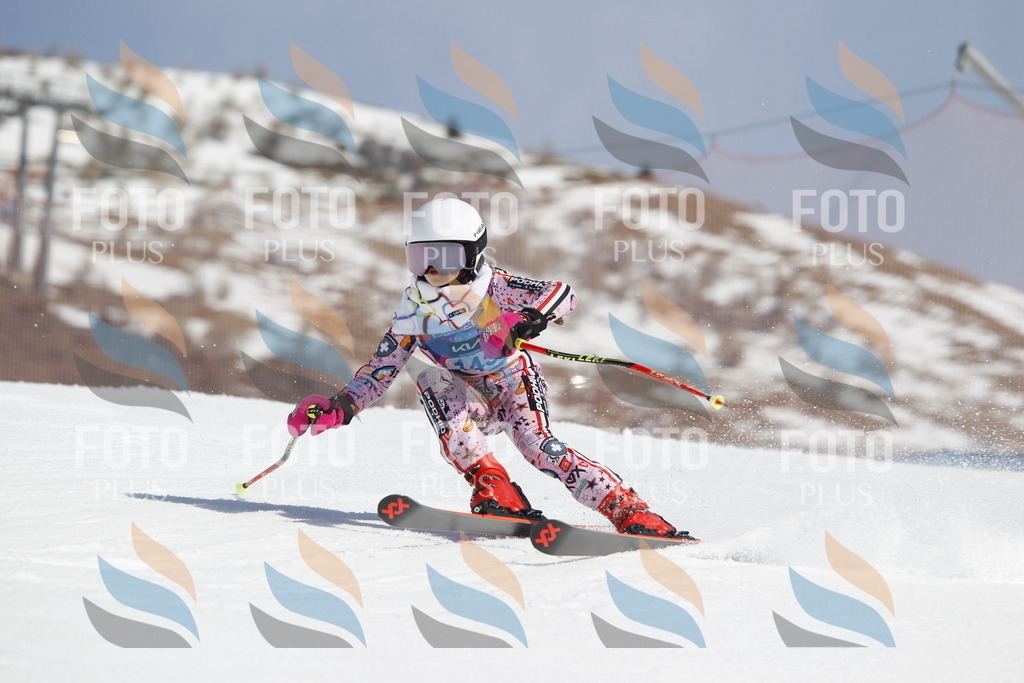 _U3G1087 | holidayphoto