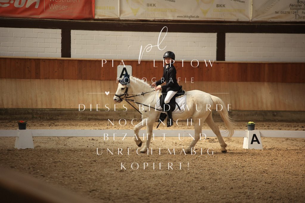 IMGT5774 | pl-fotografie