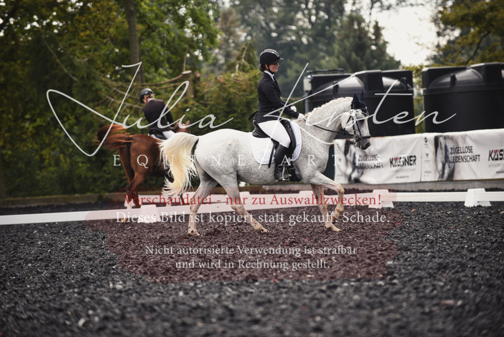 DSC_3960 | Pferde- und Turnierfotografie in Westsachsen. Pferdeportraits, Auftragszeichnungen und intuitive Kunst.