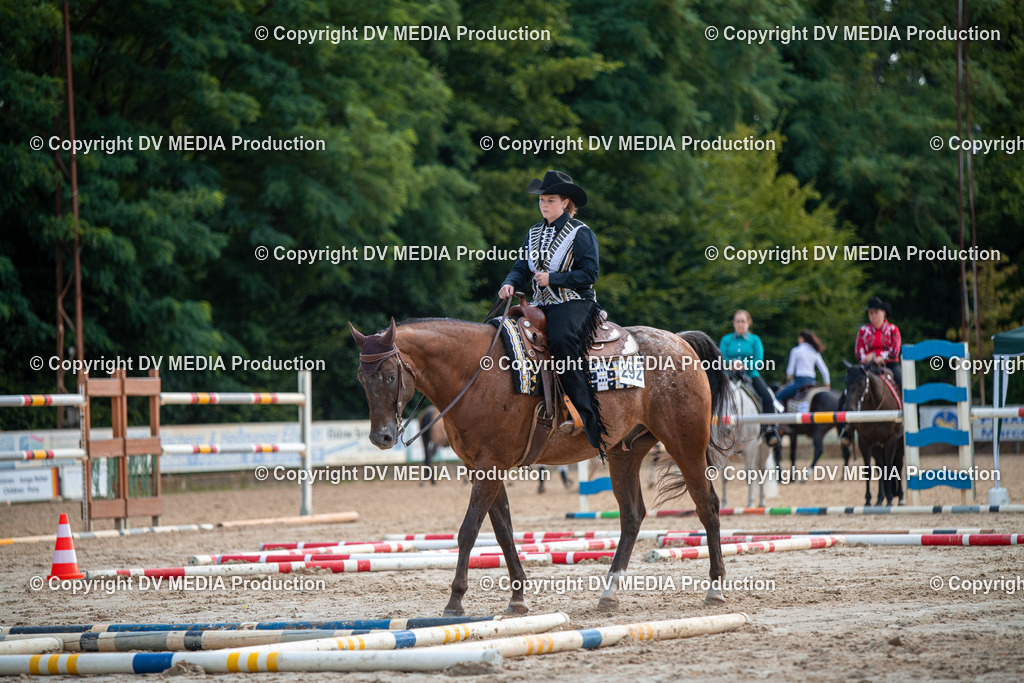 ZS3_9150 | dv-media-shop - Realisiert mit Pictrs.com