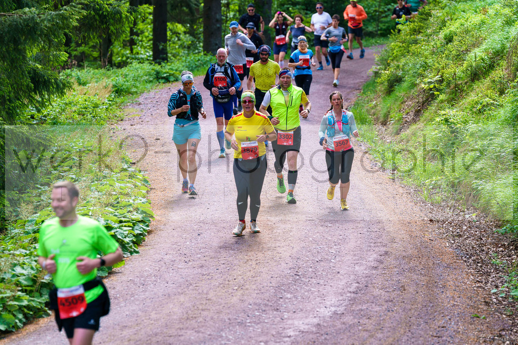 Rennsteiglauf Marathon 2025 | Marathon von Neuhaus/Rwg. nach Schmiedefeld/Rstg. am 17. Mai 2025