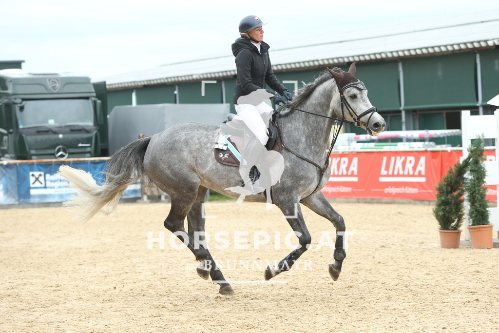 DL2Q5883 | Willkommen bei Brunnmayr - Design & Fotografie – Ihrem Spezialisten für Reitturniere und Pferdeveranstaltungen in Oberösterreich, Salzburg und Bayern! Seit über 17 Jahren sind wir leidenschaftlich dabei.