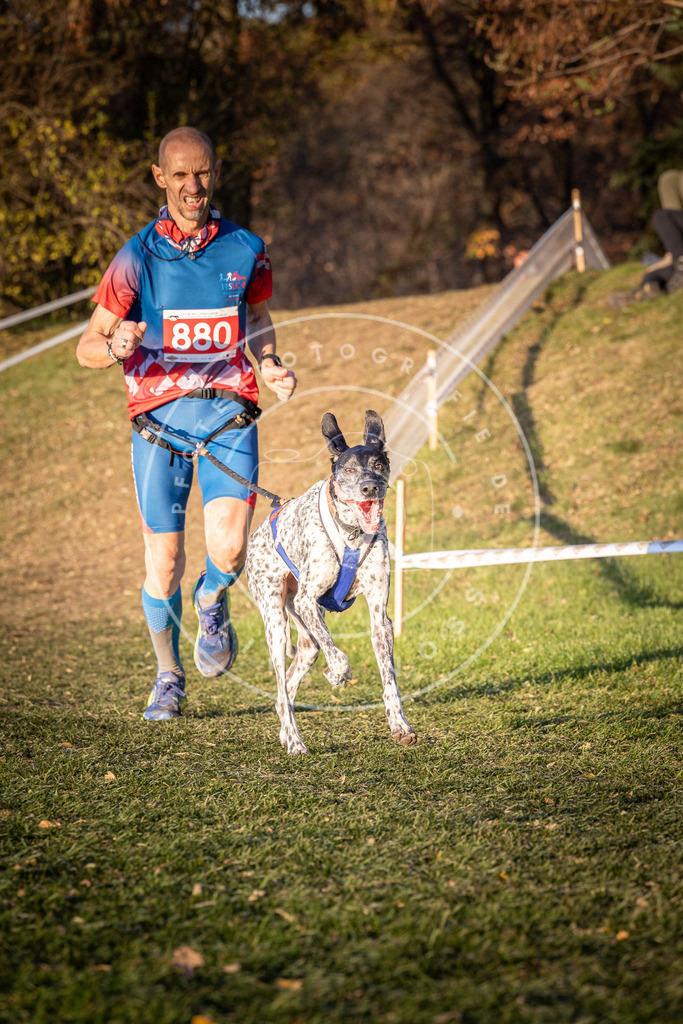 CaniXpix_0L8A1110 | Hundefotografie, Tierfotograf, Pfotenfotografie, Fotoshooting Hund, Hunde Portrait, Hundesport, Hundeportraits, Heideshooting, Hunde, Sportfotograf, Hundefotograf, Turnierhundsport, THS,  - Realisiert mit Pictrs.com
