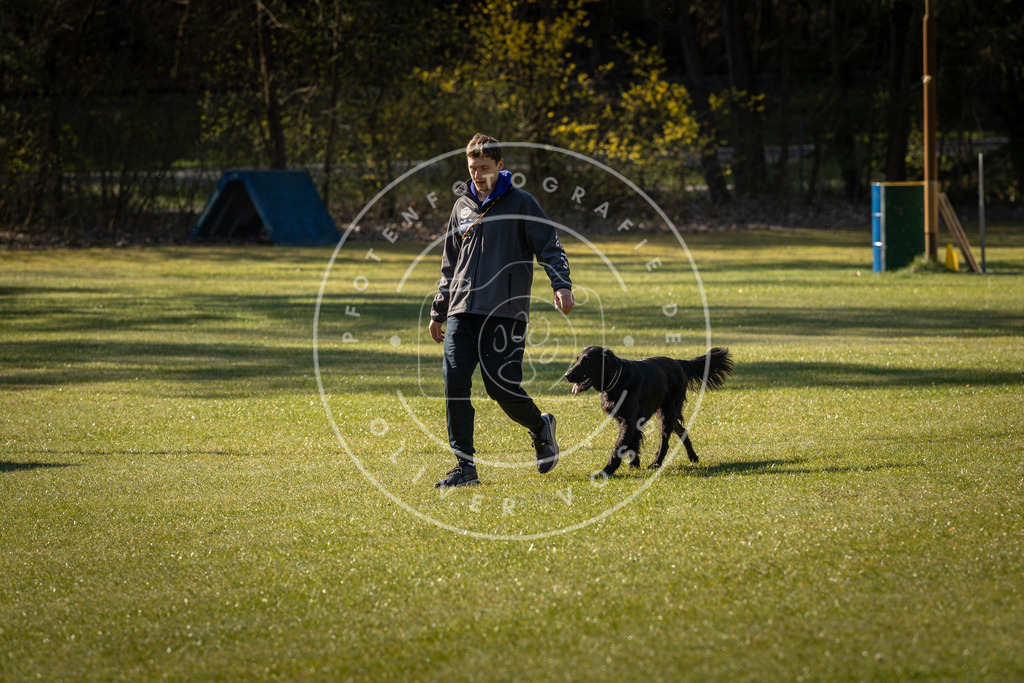 Pfotenfotografie_DV3A0162 | Hundefotografie, Tierfotograf, Pfotenfotografie, Fotoshooting Hund, Hunde Portrait, Hundesport, Hundeportraits, Heideshooting, Hunde, Sportfotograf, Hundefotograf, Turnierhundsport, THS,  - Realisiert mit Pictrs.com