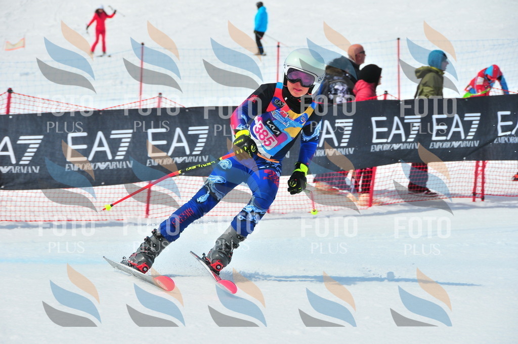 DSC_7258 | holidayphoto