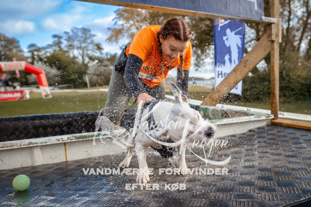 1520_ZZ96530 | kk-dogfotos