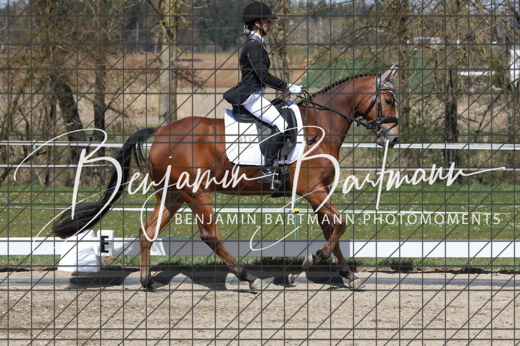 AZ2A4062 | Benjamin Bartmann Photomoments