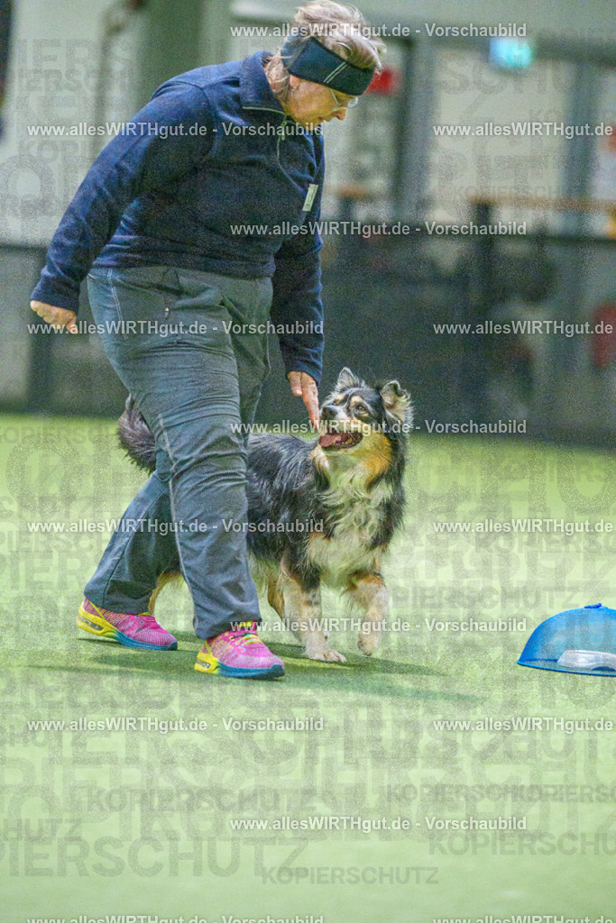 7R504284 | Professionelle Tierfotografie in Mönchengladbach von Daniel Wirth (allesWIRTHgut). Liebevolle & natürliche Bilder von Hunden & Katzen für unvergessliche Erinnerungen.