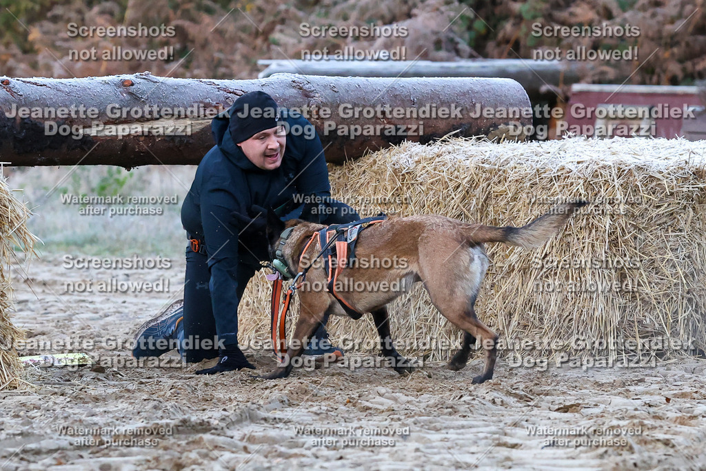 Dog Paparazzi - Strongdog 10-25-110 | Dog Paparazzi Jeanette Grottendiek Fotografie & Videografie - Realisiert mit Pictrs.com