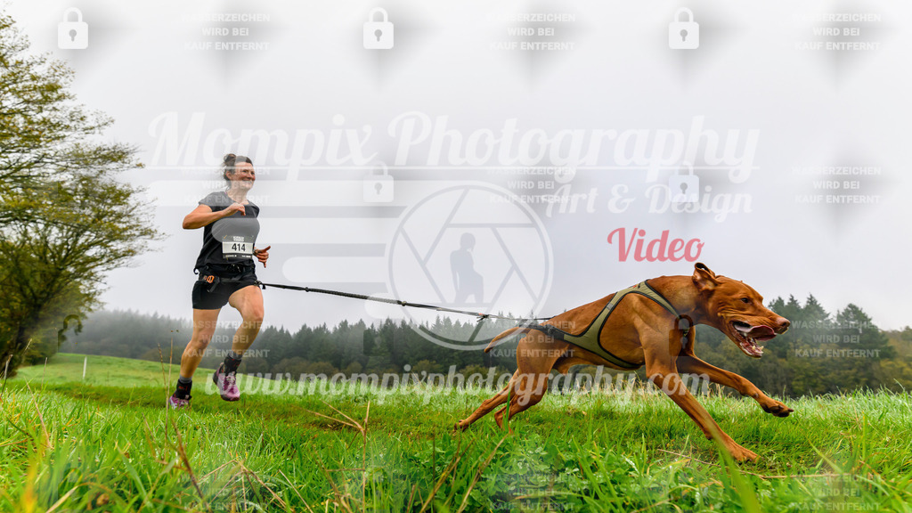 MompixPhotography_20TSB_E5_Run-94 | PayLife