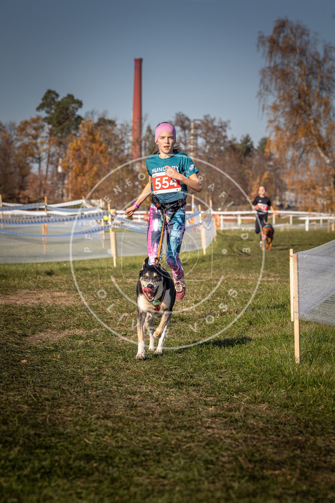 CaniXpix_0L8A7788 | Hundefotografie, Tierfotograf, Pfotenfotografie, Fotoshooting Hund, Hunde Portrait, Hundesport, Hundeportraits, Heideshooting, Hunde, Sportfotograf, Hundefotograf, Turnierhundsport, THS,  - Realisiert mit Pictrs.com