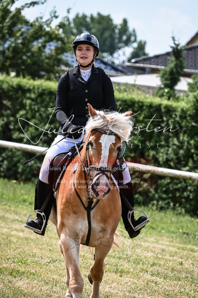 DSC_8638 | Pferde- und Turnierfotografie in Westsachsen. Pferdeportraits, Auftragszeichnungen und intuitive Kunst.