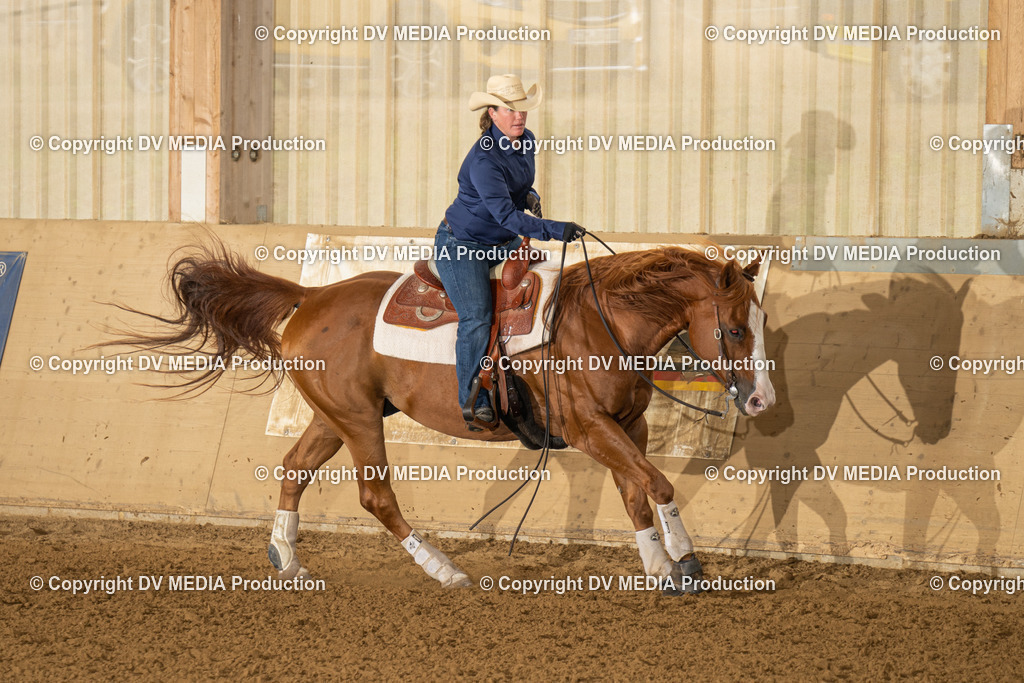 LAU00894 | dv-media-shop - Realisiert mit Pictrs.com