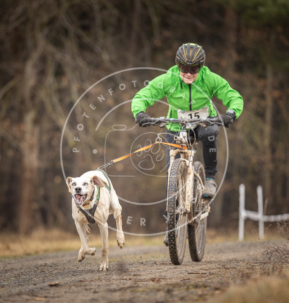 DV3A3272 | Hundefotografie, Tierfotograf, Pfotenfotografie, Fotoshooting Hund, Hunde Portrait, Hundesport, Hundeportraits, Heideshooting, Hunde, Sportfotograf, Hundefotograf, Turnierhundsport, THS,  - Realisiert mit Pictrs.com