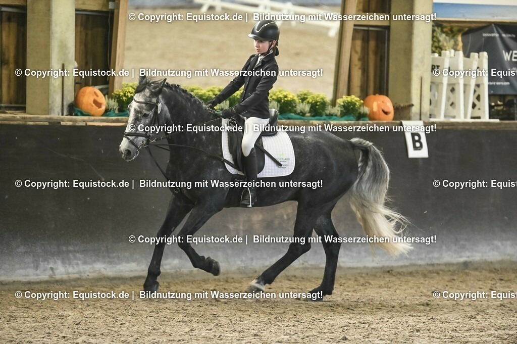 03_Reiter-WB_0202 | Foto: Thomas Hartig