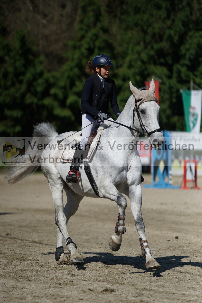 DSC06126 | equestrian-live-com