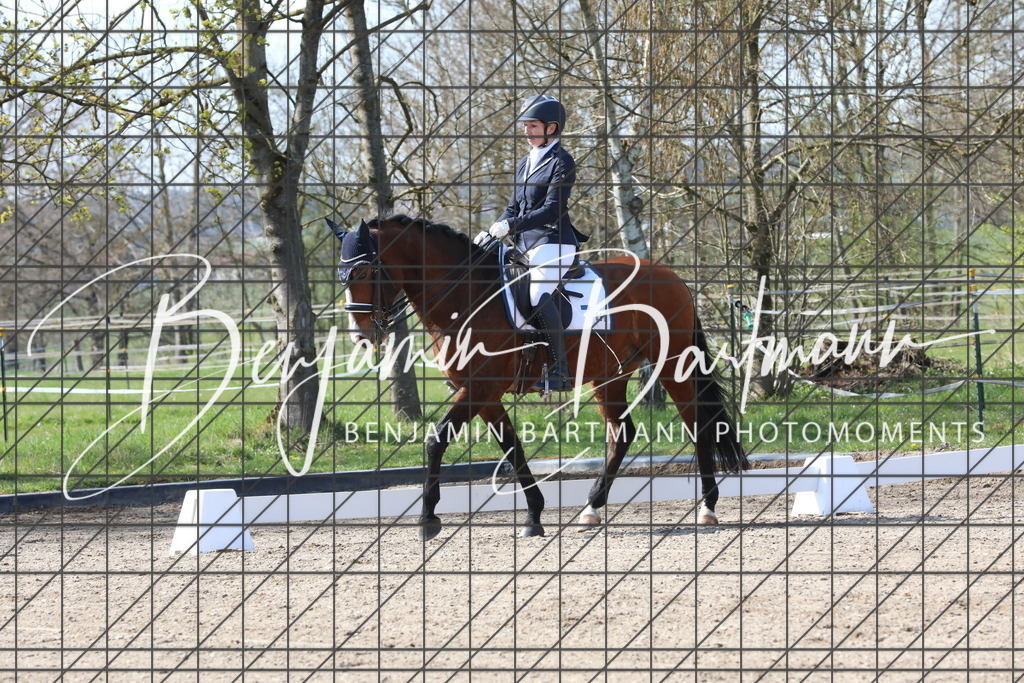 AZ2A5756 | Benjamin Bartmann Photomoments