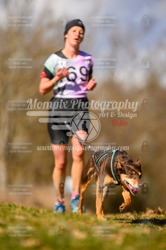 MompixPhotography_10Schwabentrail2026_SO_Canicross-87 | PayLife