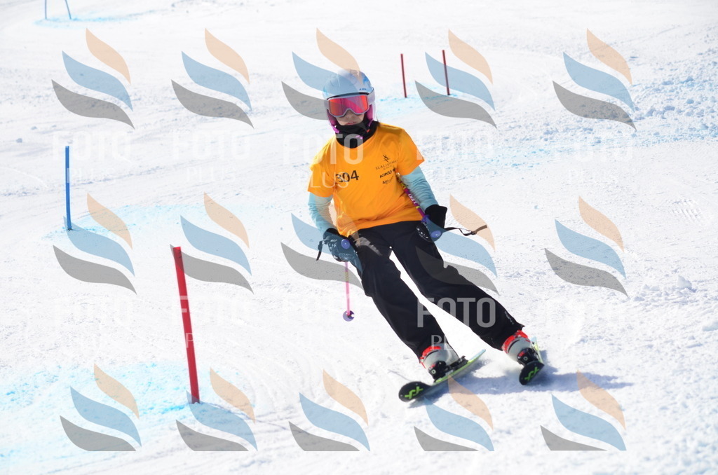 C9488 | holidayphoto