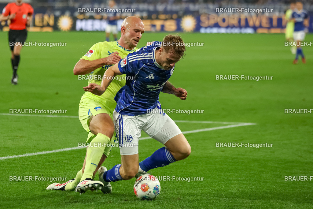 1_S04BER_20250801_4271.JPG -  - FC Schalke 04 - Hertha BSC Berlin - 2. Bundesliga | Gelsenkirchen, Deutschland, 01.08.25: Toni Leistner (Hertha BSC Berlin) und Emil Winther Hojlund (FC Schalke 04) im Kampf um den Ball waehrend des Spiels der 2. Bundesliga zwischen FC Schalke 04 - Hertha BSC Berlin in der Veltins-Arena am 01. August 2025 in Gelsenkirchen, Deutschland. (Foto von Stefan Brauer/Brauer-Fotoagentur)DFB/DFL REGULATIONS PROHIBIT ANY USE OF PHOTOGRAPHS AS IMAGE SEQUENCES AND/OR QUASI-VIDEO.
