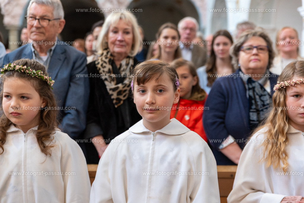 _DSC2631 | Hier finden Sie die Online Foto-Galerie von fotograf-passau.com und marius-handrugan.de. Suchen Sie sich direkt Ihre Lieblingsbilder aus, ob als Ausdruck oder Download. - Realisiert mit Pictrs.com