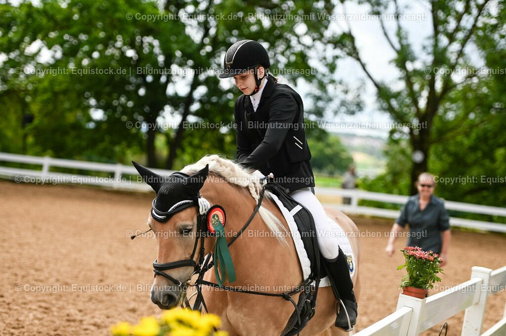 20230716_10-1_Reiter-WB Schritt - Trab - Galopp_0289 | equistock