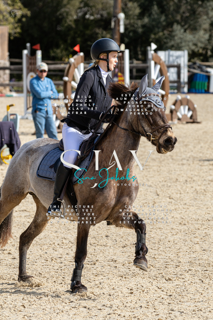 IMG_4251 | s-jay-photography - Realisiert mit Pictrs.com